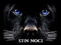 Stín noci - 2. kapitola